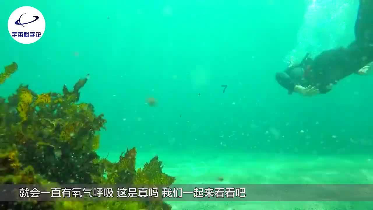 haha体育平台在线